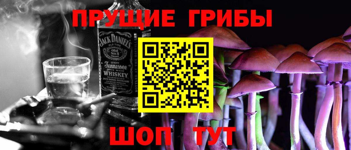 Псилоцибиновые грибы MAGIC MUSHROOMS  Псилоцибиновые грибы мицелий  Вход с VPN  Елизово 